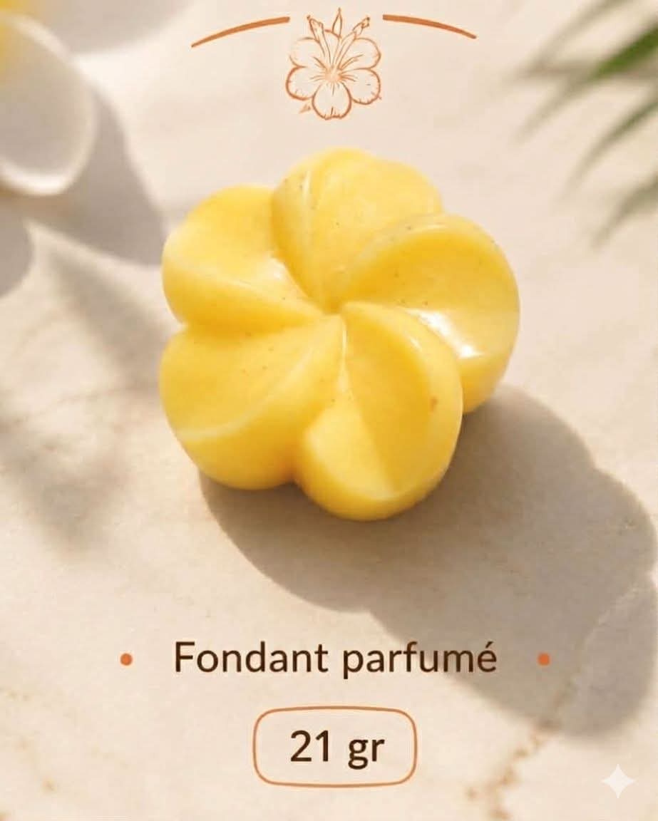 Sous le soleil