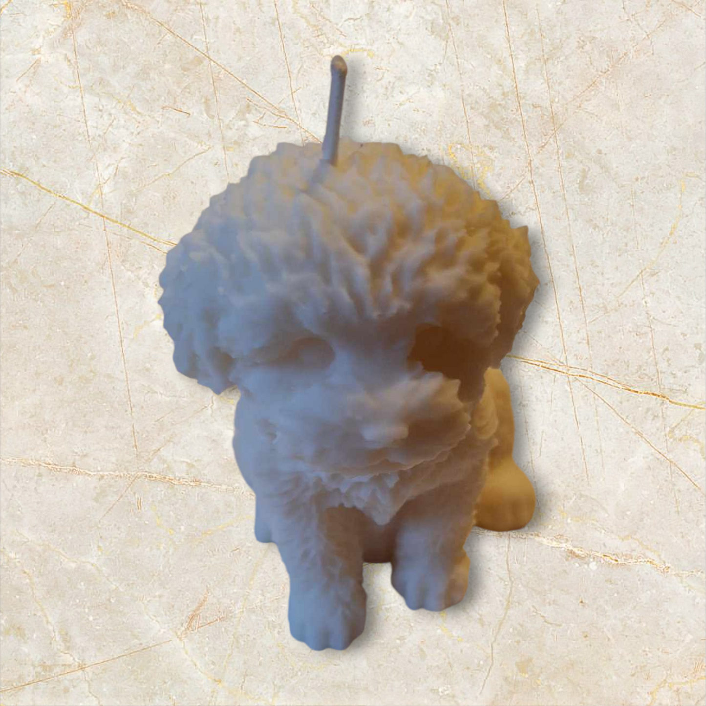 Bougie bichon frisé