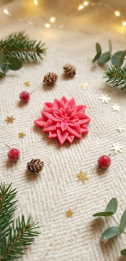 Étoile de Noël