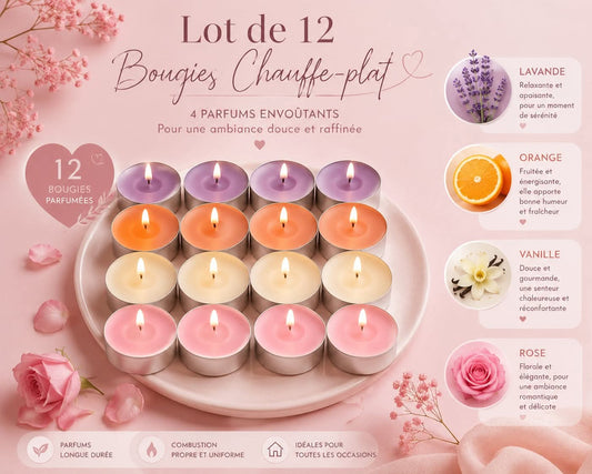 Lot de 12 bougie chauffe plat